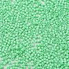 Baking Paint Glass Seed Beads X-SEED-S042-05B-59-3
