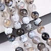 Dyed & Heated Natural Fire Crackle Agate Beads Strands G-N359-01A-03-1