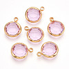 K9 Glass Charms GLAA-T023-37A-03-1