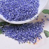 MIYUKI Delica Beads SEED-J020-DB0243-1