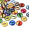 Printed Transparent Glass Cabochons GL-CBAA22A-01-1