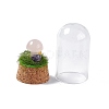 Natural Rose Quartz Mushroom Display Decoration with Glass Dome Cloche Cover G-E588-03J-4