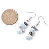 Natural Howlite & White Jade & Sodalite Dangle Earrings EJEW-JE06127-02-3