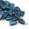 Trapezoid Dyed Natural Gemstone Pendants G-Q359-03-1