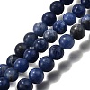 Natural Sodalite Beads Strands G-E110-8mm-3-2