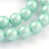 Round Shell Pearl Bead Strands X-BSHE-J011-10mm-A01-1