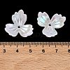 Plating Opaque Acrylic Imitation Shell Bead Cap OACR-P039-03E-3