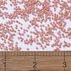 MIYUKI Delica Beads SEED-MY11-DB1363-4