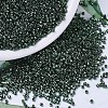 MIYUKI Delica Beads SEED-MY11-DB0458-4