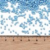 Baking Paint Glass Seed Beads X-SEED-S042-15B-28-4