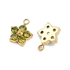 304 Stainless Steel Micro Pave Cubic Zirconia Charms STAS-B088-01G-04-2