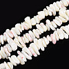 Natural Trochid Shell/Trochus Shell Beads Strands SSHEL-T017-29-1