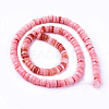 Natural Shell Beads Strands X-SSHEL-E571-49A-2