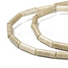 Natural Petrified Wood Beads Strands G-F247-49-5