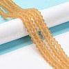 Transparent Glass Beads Strands EGLA-A044-T2mm-MD23-2