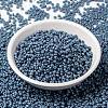 MIYUKI Round Rocailles Beads X-SEED-G008-RR2030-2