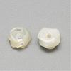 Natural White Shell Mother of Pearl Shell Cabochons SSHEL-R042-10-2