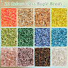 5400pcs 12 Colors Plated Glass Bugle Beads SEED-PH0002-32-2