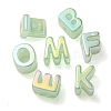 Opaque Rainbow Iridescent Acrylic Beads OACR-P010-23D-2