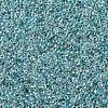 MIYUKI Round Rocailles Beads X-SEED-G007-RR0263-4