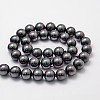 Shell Pearl Bead Strands BSHE-L025-05-8mm-2