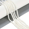 Natural Cultured Freshwater Shell Beads Strands BSHE-H109-03B-2