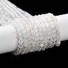 Natural Rainbow Moonstone Beads Strands X-G-J400-E12-01-3