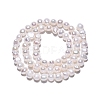 Natural Cultured Freshwater Pearl Beads Strands PEAR-N014-05L-3