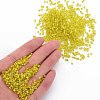 Glass Bugle Beads SEED-S032-08A-30-5