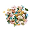 Shell Beads BSHE-I008-13-1
