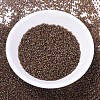 MIYUKI Delica Beads SEED-J020-DB0287-2