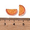 Resin Cabochons RESI-Z032-04B-3
