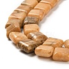 Natural Dolomite Beads Strands G-F765-C02-01-4