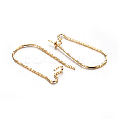 304 Stainless Steel Hoop Earring Findings STAS-P223-01G-05-1