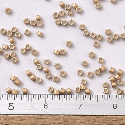 MIYUKI Delica Beads SEED-JP0008-DB1152-1