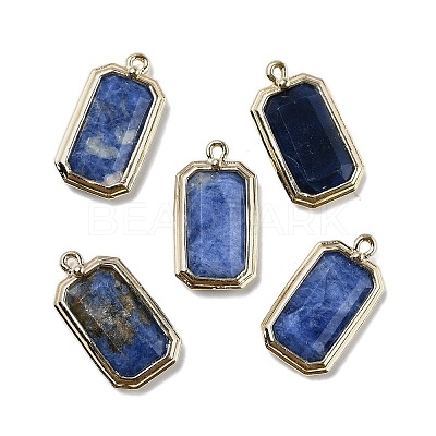 Natural Sodalite Pendants G-U019-04G-03-1