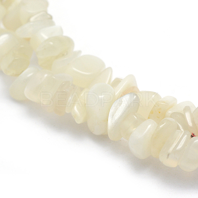 Natural White Moonstone Beads Strands G-P332-01-1