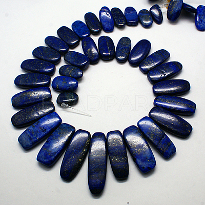 Natural Gemstone Pendants Lapis Lazuli Graduated Beads Strands G-F129-B-02-1
