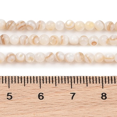 Natural Freshwater Shell Beads Strands X-SHEL-T011-02-3mm-1