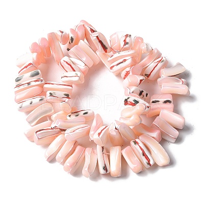 Dyed Natural Trochus Shell Beads Strands SSHEL-C013-09L-1