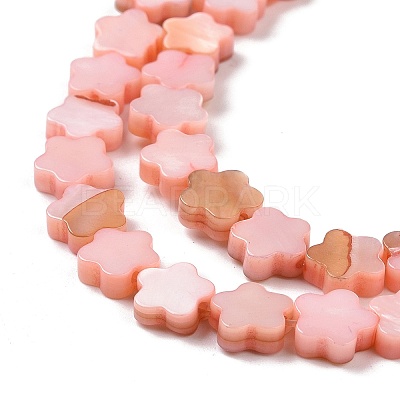 Natural Freshwater Shell Beads Strands SHEL-H002-03D-1