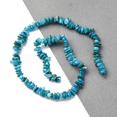 Natural Freshwater Shell Beads Strands BSHE-I016-01A-1