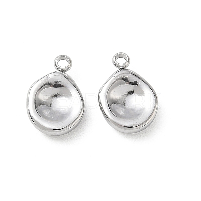 304 Stainless Steel Charms SA-CBA11D7-02P-1