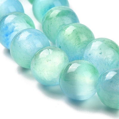 Natural Selenite Beads Strands G-P493-03C-1