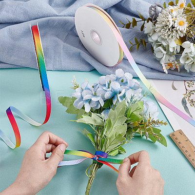2 Rolls 2 Colors Gradient Color Polyester Ribbon OCOR-PH0007-31-1