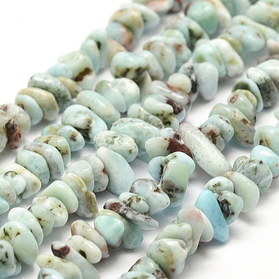 Natural Larimar Beads Strands X-G-P302-03-1