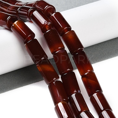 Natural Red Agate Beads Strands G-NH0019-A03-01-1