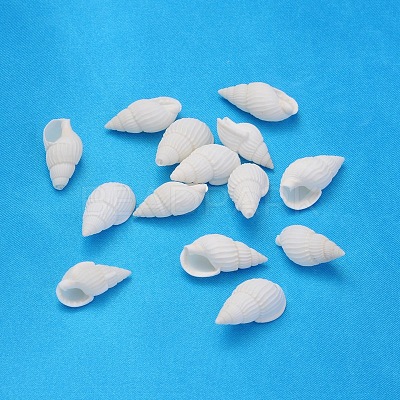 Natural Trumpet Shell Beads X-BSHE-S061-1