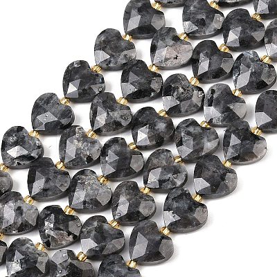 Natural Larvikite Beads Strands G-P592-B05-01-1