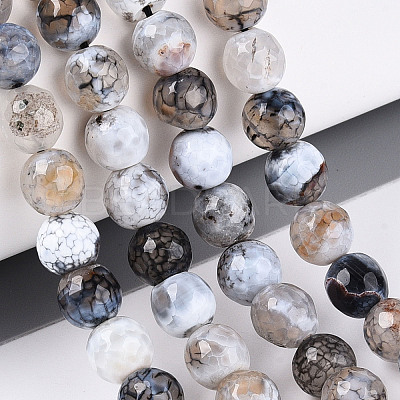 Dyed & Heated Natural Fire Crackle Agate Beads Strands G-N359-01A-03-1